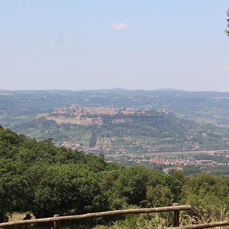 Agriturismo Fattoria Poggio Boalaio Orvieto Ngoại thất bức ảnh