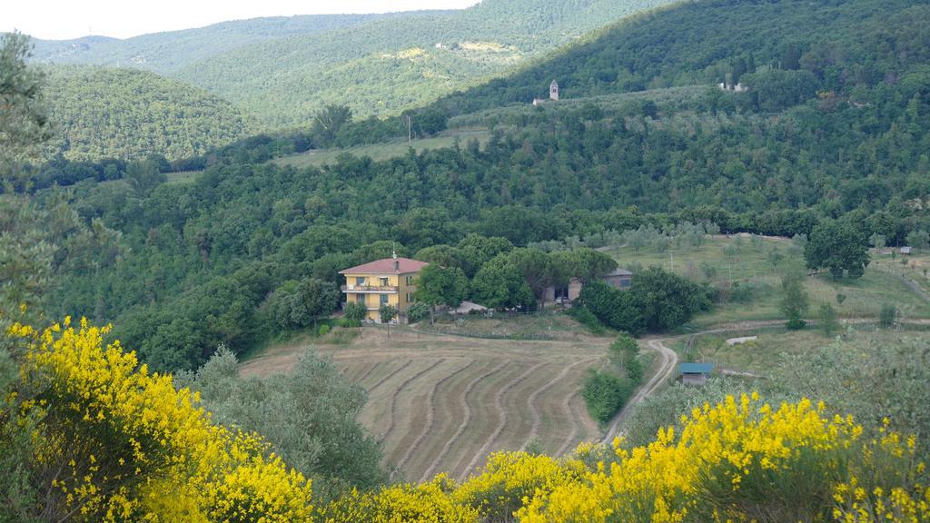 Agriturismo Fattoria Poggio Boalaio Orvieto Ngoại thất bức ảnh
