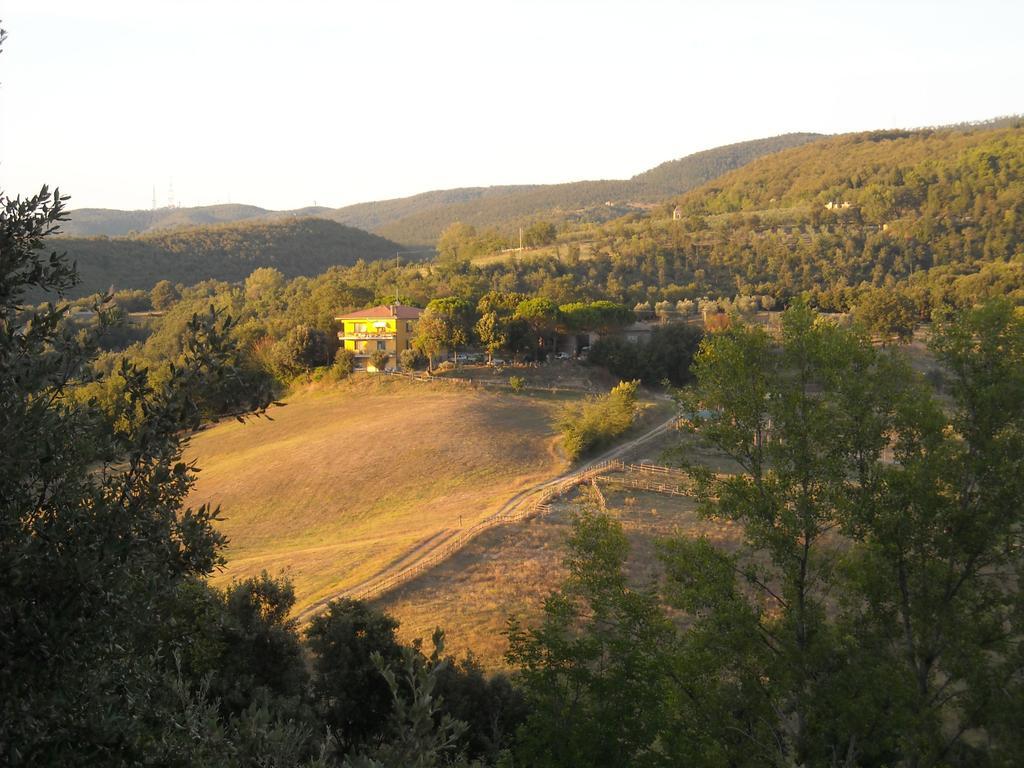 Agriturismo Fattoria Poggio Boalaio Orvieto Ngoại thất bức ảnh