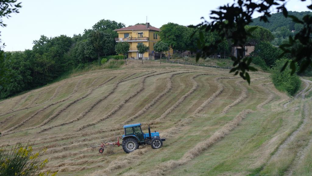 Agriturismo Fattoria Poggio Boalaio Orvieto Ngoại thất bức ảnh